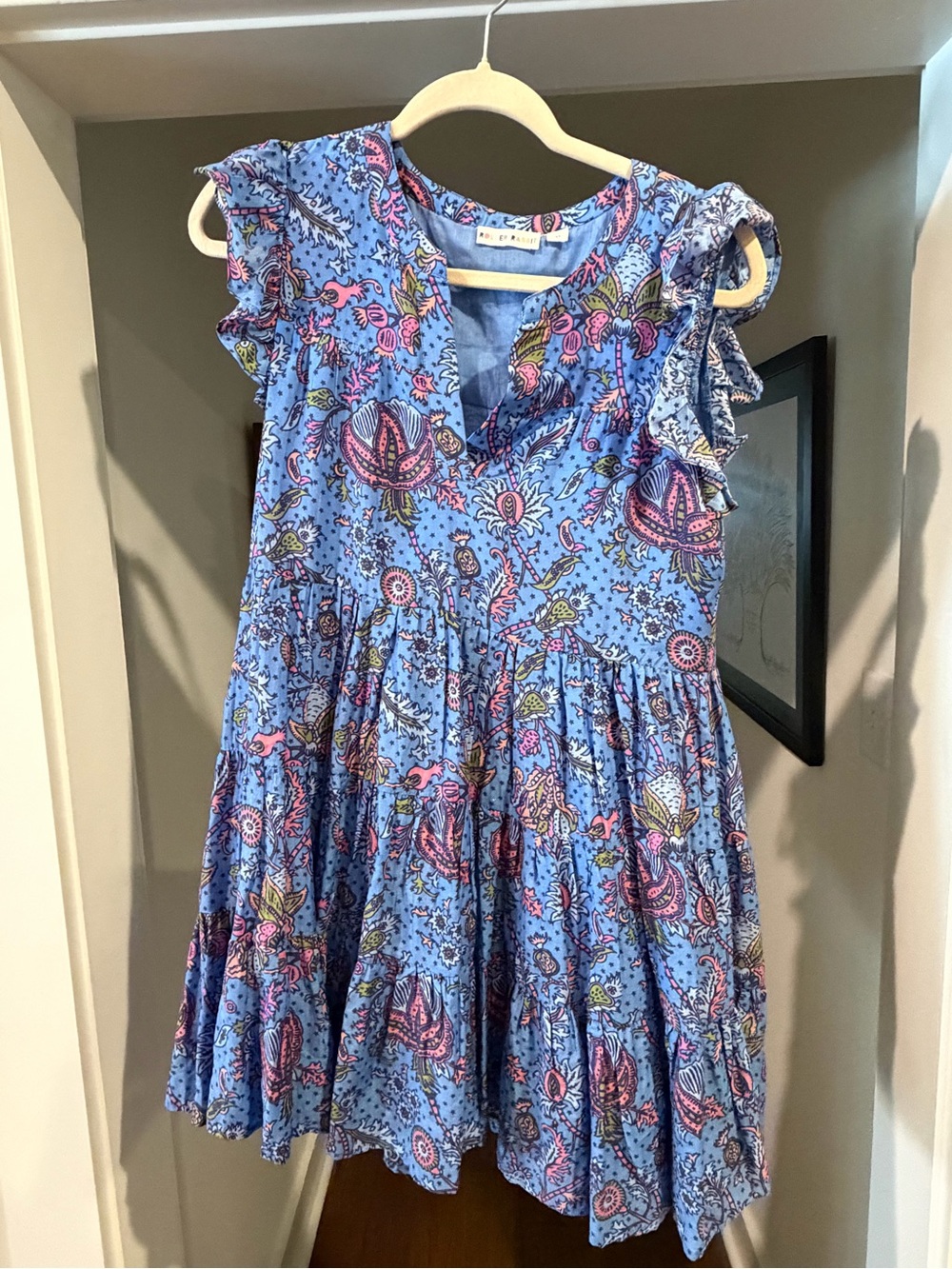 Roller Rabbit Blue Floral Ruffle-Sleeve Mini Dress